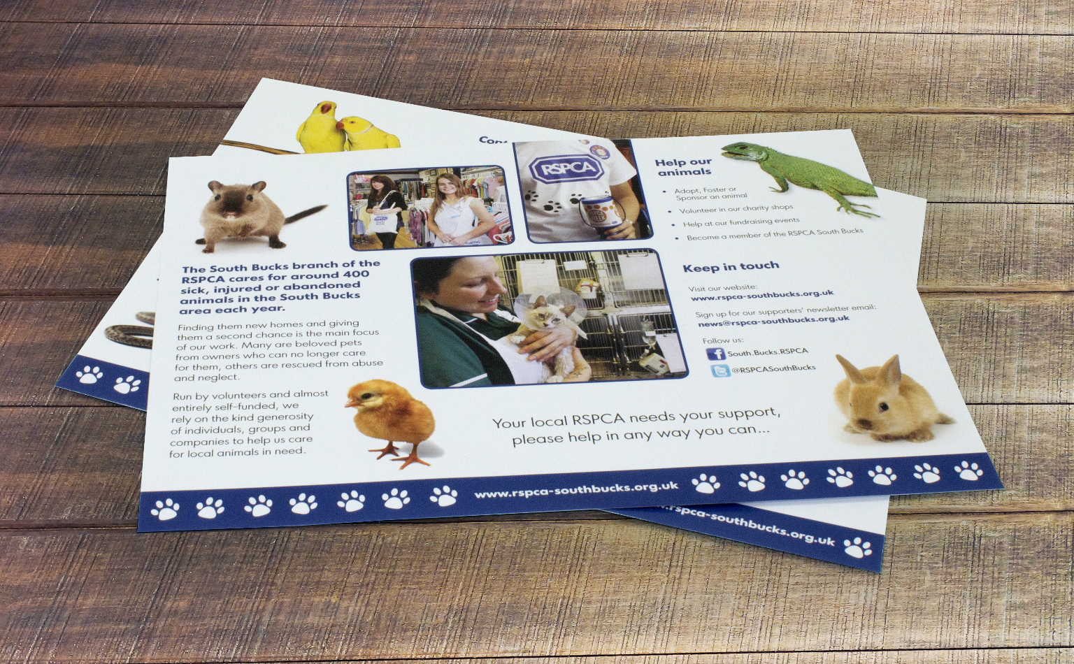 Leaflet printing rspca